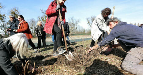 Conseil municipal de Strasbourg | Parc naturel urbain : une troisième charte pour inclure plus largement les habitants | Actu Archi-Urba-Environnement-Paysage | Scoop.it