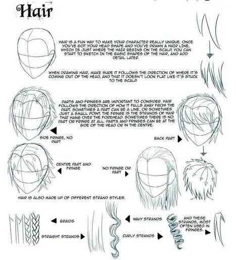 Anime Hair Drawing Reference and Sketches for Artists