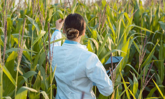 Lettre ouverte au Gouvernement et aux eurodéputé.e.s - Nouveaux OGM, ne sacrifions pas notre agriculture et notre alimentation - Action UFC-Que Choisir  | Environnement - Développement durable - Climat | Scoop.it