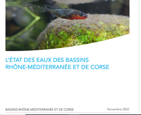 L'état des eaux des bassins Rhône-Méditerranée et de Corse 2022 - Agence de l’eau | Biodiversité | Scoop.it