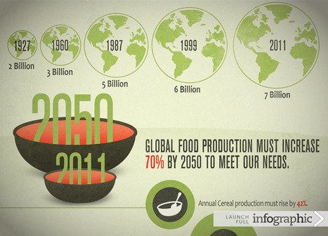 USAID | Infographic: The Global State of Agriculture | GTAV AC:G Y9 - Biomes and food security | Scoop.it
