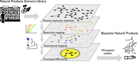Bioactive Natural Products Prioritization Using Massive Multi-informational Molecular Networks | Natural Products Chemistry Breaking News | Scoop.it