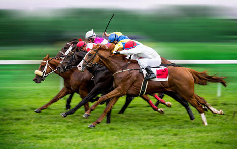 Despite House blessing, Senate&rsquo;s lack of appetite kills thoroughbred horse racing &lsquo;decoupling&rsquo; | Racing Regulatory Issues | Scoop.it