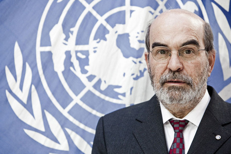 New chief of UN’s food and agriculture agency outlines plans as he starts work | CORPORATE SOCIAL RESPONSIBILITY – | Scoop.it