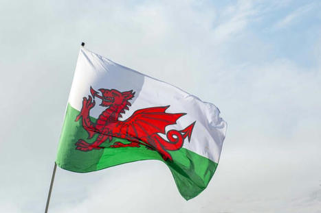 UK Toyota plant could be powered by biogas via EQTEC project  | Sustainable Procurement News | Scoop.it