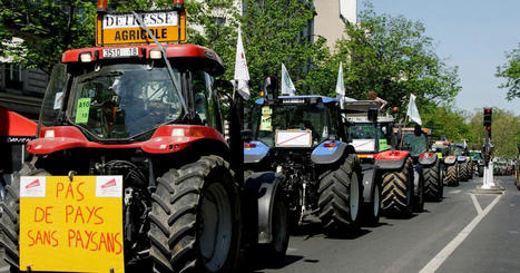 AGRICULTEURS : Campagne(s) européenne(s) en ébullition | MED-Amin network | Scoop.it