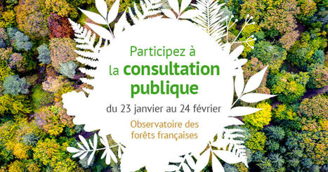 Participez à la consultation publique sur les forêts françaises - IGN | Biodiversité | Scoop.it