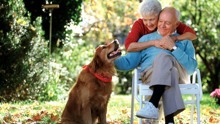 How to Add a Pet Trust to Your Estate Plan | Wealth Management Report - Living Your Dreams | Scoop.it