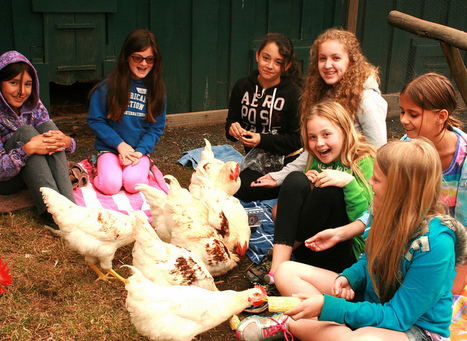 3 Awesome Farm Sanctuary Programs That Teach Kids Compassion for All Animals | Empathy and Animals | Scoop.it