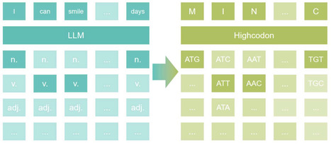 High-Codon: A Deep Learning-Based Codon Optimization Tool for Enhanced Heterologous Protein Expression in Escherichia coli | Brvbi | RMH | Scoop.it