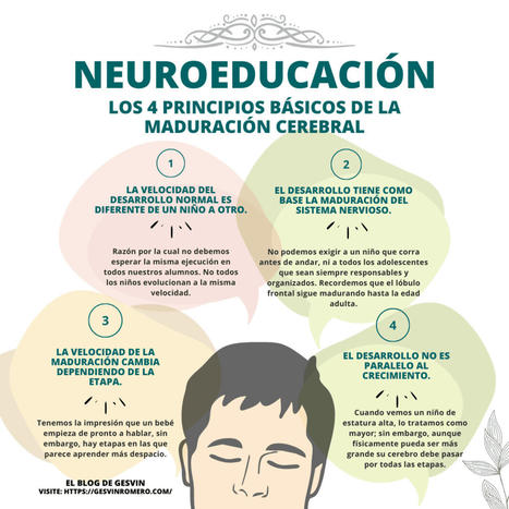 Neuroeducaci&oacute;n &ndash; Los 4 Principios B&aacute;sicos de la Maduraci&oacute;n Cerebral y Desarrollo Cognitivo | Infograf&iacute;a &ndash; | Pedalogica: educaci&oacute;n y TIC | Scoop.it