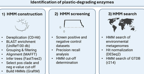 Predicting the plastic biodegradation potential within microbial lineages and across global ecosystems | msc | RMH | Scoop.it
