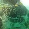 The Swash Channel Wreck gives up its secrets at Poole Museum | Culture24 | Archaeology News | Scoop.it