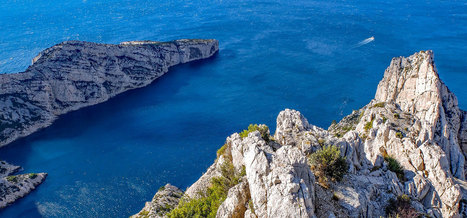 La France accueillera le Congr&egrave;s mondial de la nature de l'UICN &agrave; Marseille en 2020 | Vers la transition des territoires ! | Scoop.it