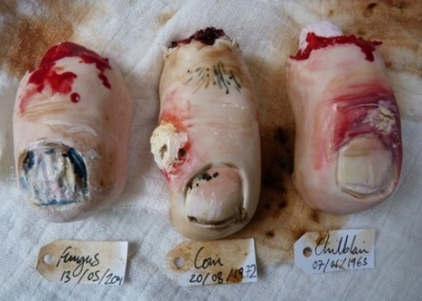 Severed Toe and Ear Cookies are Too Gross to Stomach | All Geeks | Scoop.it