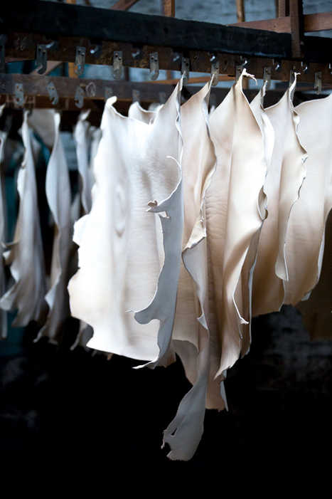 Le cuir est-il devenu le nouvel or noir ? | La Gazette des abattoirs | Scoop.it