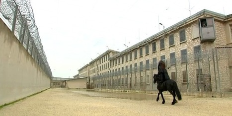 Et soudain, une cavalière de Centaure entre dans la prison des Baumettes | Salon du Cheval | Scoop.it