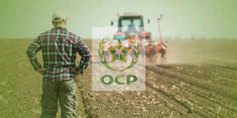 L'OCP lance la plateforme T@swiq – Agri MAROC | CIHEAM Press Review | Scoop.it