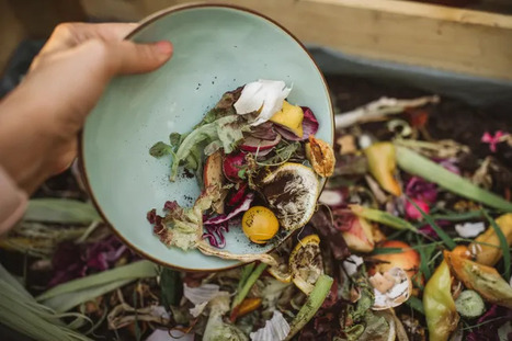 ReFed, Closed Loop Partners each announce new organics grants | Industry 411 - Waste Management | Scoop.it