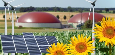 Le développement durable : un objectif partagé | Région Grand Est | La SELECTION du Web | CAUE des Vosges - www.caue88.com | Scoop.it