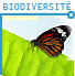 Le CESE a rendu un avis de suite sur la biodiversité | Economie Responsable et Consommation Collaborative | Scoop.it
