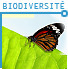 La planète Terre vit actuellement la sixième extinction de masse | Biodiversité - @ZEHUB on Twitter | Scoop.it