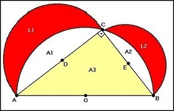 Musas matemáticas...para inspirar clases creativas: Yo, Leonardo.- | Matemáticas.- | Scoop.it