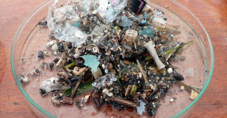 Les fleuves europ&eacute;ens sont trop pollu&eacute;s par les microplastiques | EnvirEAU | Scoop.it