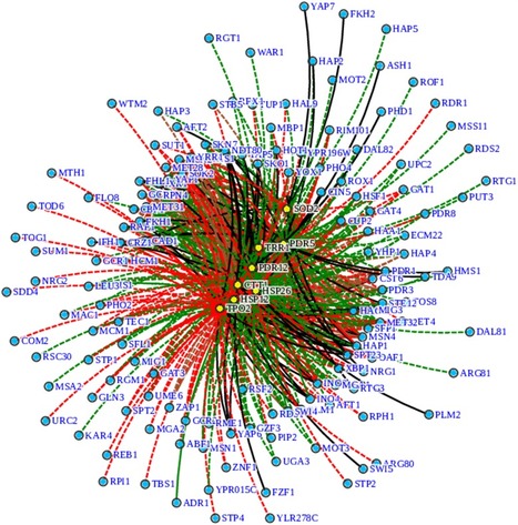 Global Evaluation of S. cerevisiae Regulatory Network: Challenging Previous Concepts | iBB | Scoop.it