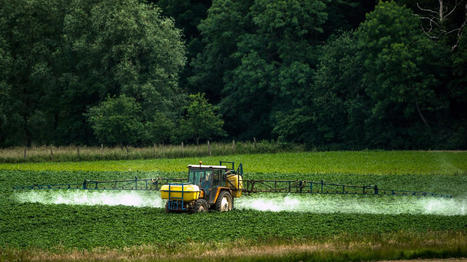 Pour la première fois, des chercheurs tourangeaux prouvent le lien entre pesticides et leucémie | France Info | Prévention du risque chimique | Scoop.it