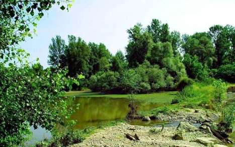 Fête de la nature : des idées de sorties dans les Landes | Landes | Scoop.it