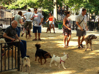 Shareable: Dog Parks, Humans and the Commons | Cooperation Theory & Practice | Scoop.it