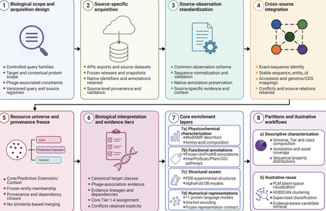 PhageLysData: an evidence-aware and AI-ready dataset of phage lytic enzymes and depolymerases | brvai | RMH | Scoop.it
