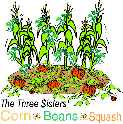 Three Sisters Garden - | Gardening Life | Scoop.it