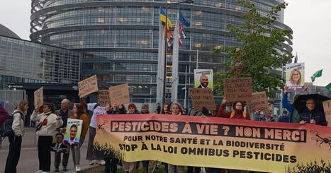 VID&Eacute;O - Pesticides&nbsp;: une manifestation devant le Parlement europ&eacute;en de Strasbourg contre l'Omnibus X, "c'est scandaleux" - ICI | Strasbourg Eurom&eacute;tropole Actu | Scoop.it