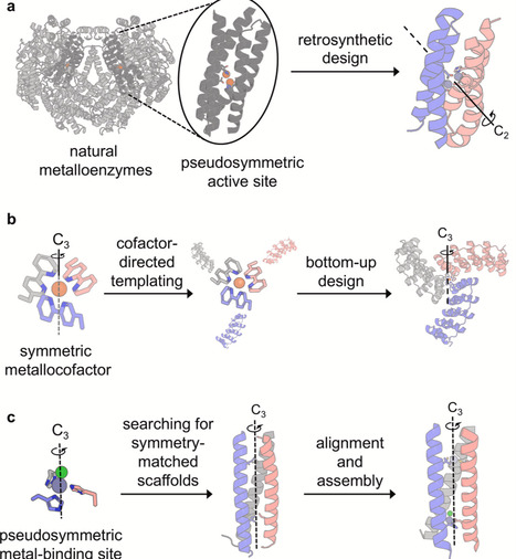 Harnessing molecular symmetry for metalloprotein design | cin | RMH | Scoop.it