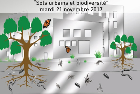 Rencontre « Sols urbains et biodiversité » | Biodiversité | Scoop.it
