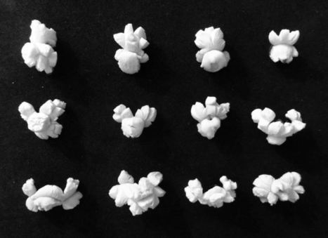 The physics of popcorn: Watch the explosion in slow motion - Los Angeles Times | Ciencia-Física | Scoop.it