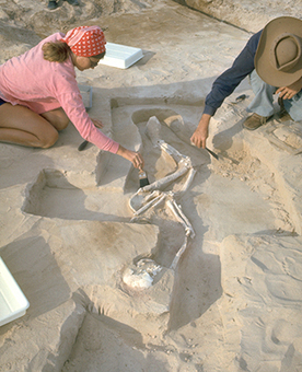 On this day: Mungo Man fossil found | Archaeology Tools | Scoop.it
