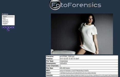 FotoForensics: análisis forense online para descubrir si una foto ha sido manipulada | TIC & Educación | Scoop.it