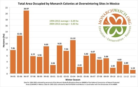 Monarch Population Status | Insect Archive | Scoop.it