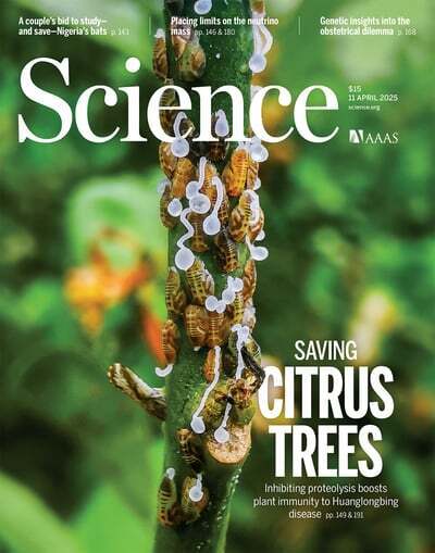 Targeted MYC2 stabilization confers citrus Huanglongbing resistance | Plant and Seed Biology | Scoop.it