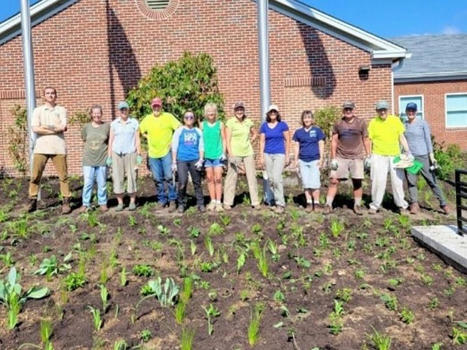 (The Other) Newtown Township Establishes Rain Gardens to Help Meet MS4 Permit Requirements | Newtown News of Interest | Scoop.it
