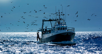 La proposition de loi visant à renforcer la protection des écosystèmes marins a été rejetée | Environnement - Développement durable - Climat | Scoop.it