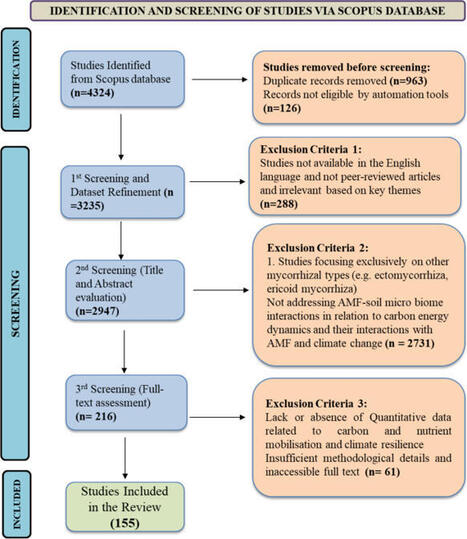 Arbuscular mycorrhizal fungi and soil microbiome interactions: implications for ecosystem functioning and climate resilience | Plant-Microbe Symbiosis | Scoop.it