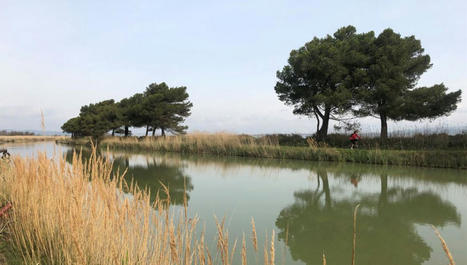 Comment concilier #tourisme et #sobriété? L'#écotourisme en action | Ecotourisme | Scoop.it