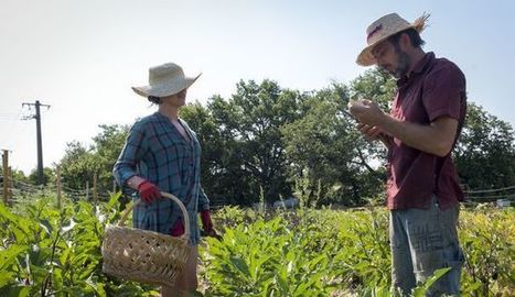 "Ici la terre" : des agriculteurs veulent reconnecter ville et campagne par téléphone - L'Express | Agriculture et communication positive | Scoop.it