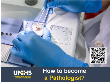 Becoming a Pathologist - A GBP Post - St Kitts | Medical School | Scoop.it
