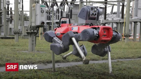 Roboter Anymal auf Inspektionsrunde im EWZ - News - SRF | Informatik & Robotik in der Schule | Scoop.it
