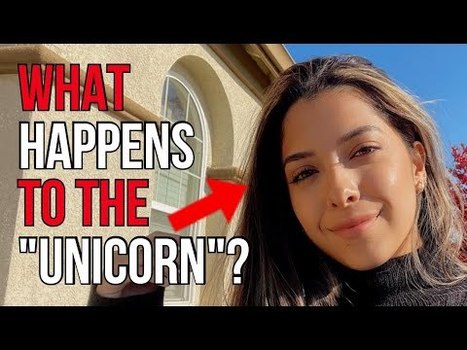 23 year old “Unicorn” Explains What Happens With Traditional Values in Modern Society | Culture | anonymous activist | Scoop.it